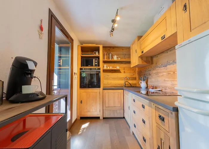 T4 Familial A Chamonix, Avec Parking Et Pres Des Grand Montets * 霞慕尼