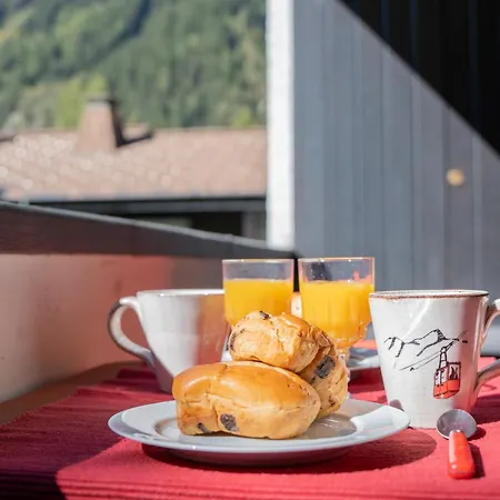 T4 Familial A Chamonix, Avec Parking Et Pres Des Grand Montets Appartement Chamonix