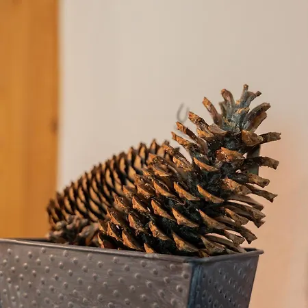 T4 Familial à Chamonix, Avec Parking Et Près Des Grand Montets *