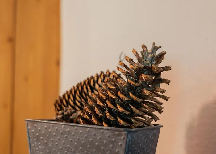 T4 Familial A Chamonix, Avec Parking Et Pres Des Grand Montets *